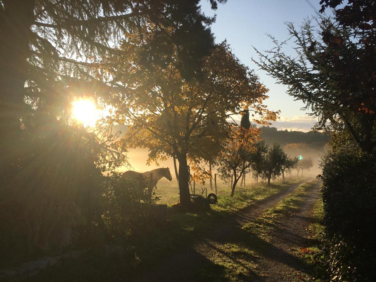 Mas De La Rivoire B&B Villevieille Zewnętrze zdjęcie