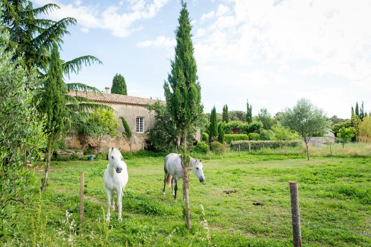 Mas De La Rivoire B&B Villevieille Zewnętrze zdjęcie